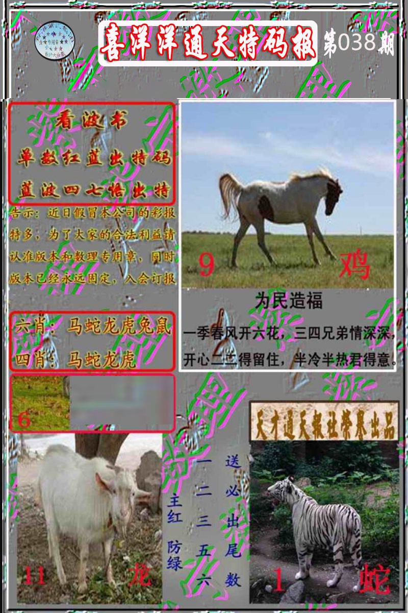 038期洋通报[图]