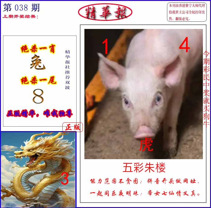038期新精华报报[图]