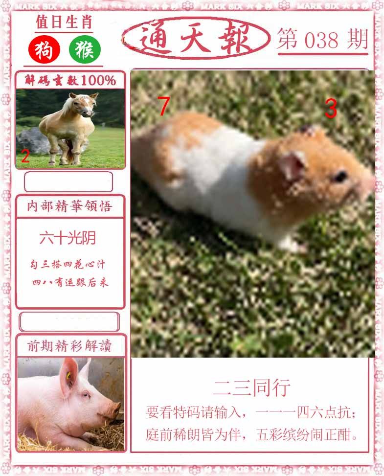 038期正版通天报[图]
