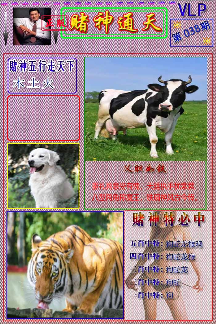 038期赌神通天报[图]