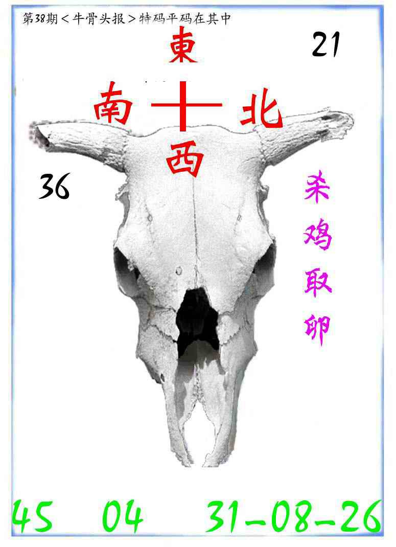038期牛派牛头报[图]